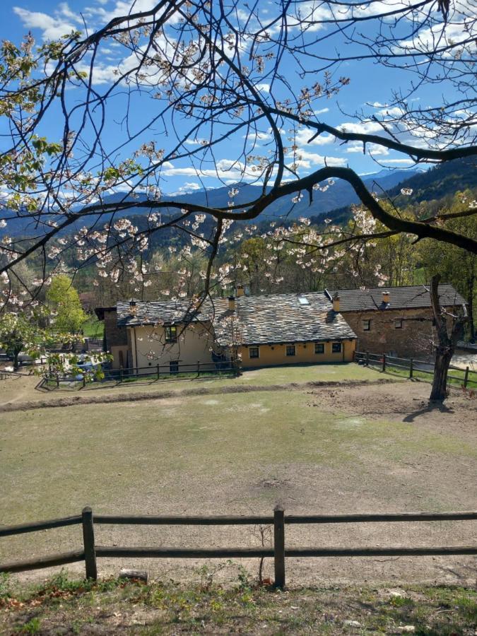 Country House Le Gaie Allegre Villar San Costanzo エクステリア 写真